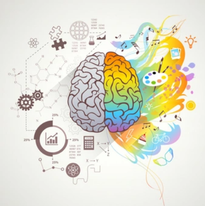 left-right-brain-concept